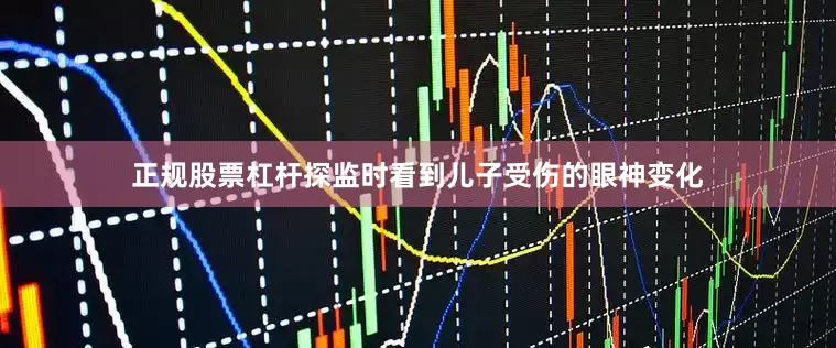 正规股票杠杆探监时看到儿子受伤的眼神变化