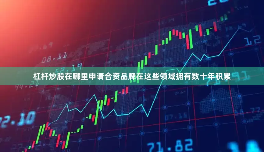 杠杆炒股在哪里申请合资品牌在这些领域拥有数十年积累