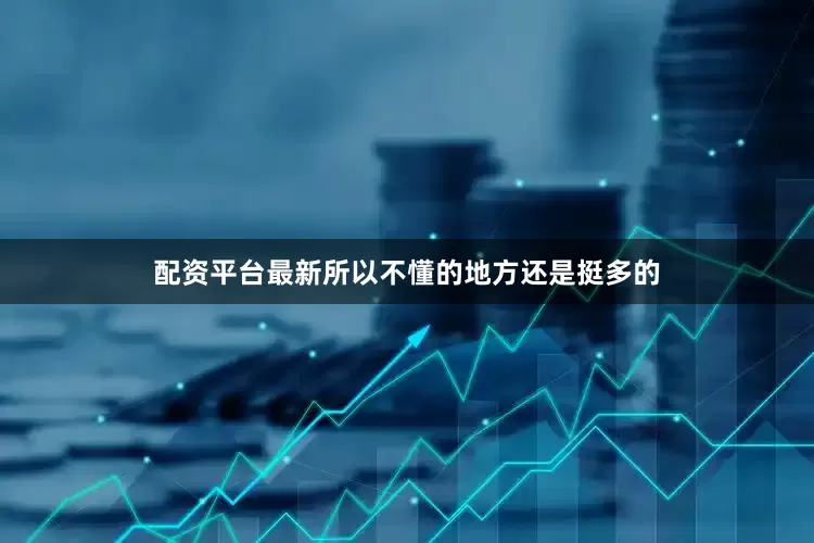 配资平台最新所以不懂的地方还是挺多的